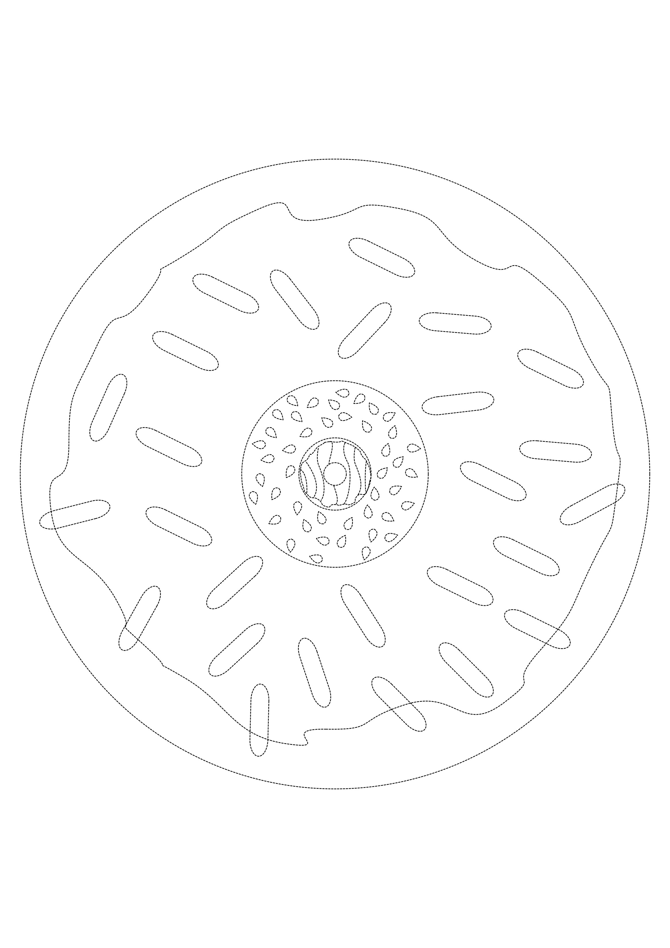 bagel-donut